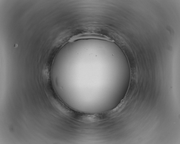 X0000112750086200909031536