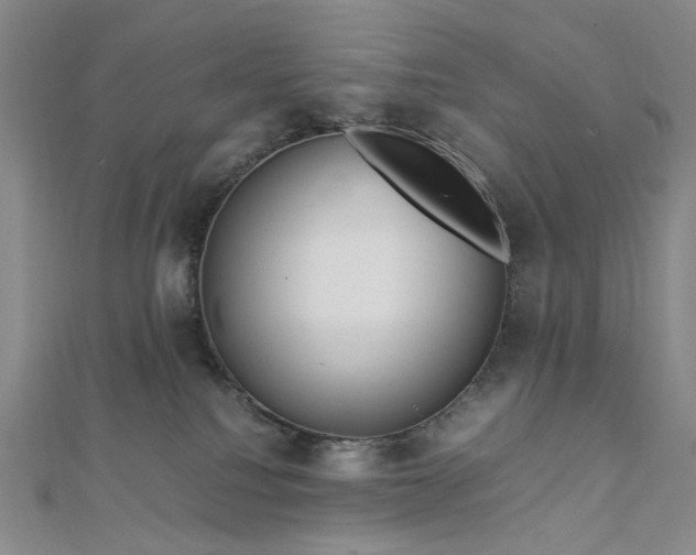 X0000112750088200909031536