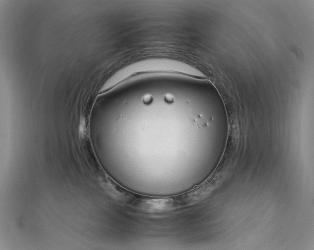 X0000112750089200909031536