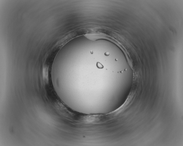 X0000112750094200909031536