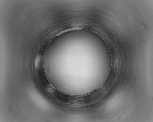 X0000112750095200909031536