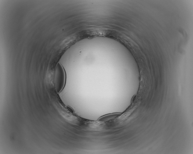 X0000112750096200909031536