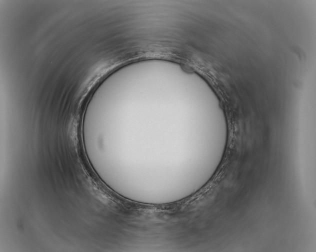 X0000112750098200909031535