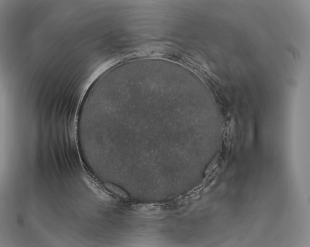 X0000112750100200909031535