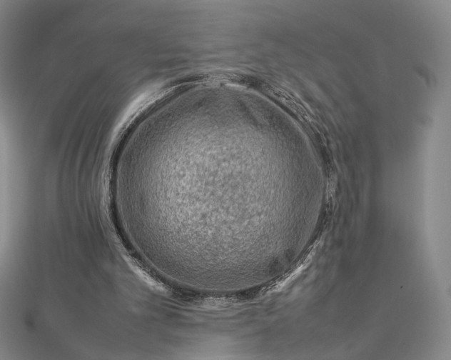 X0000112750101200909031535