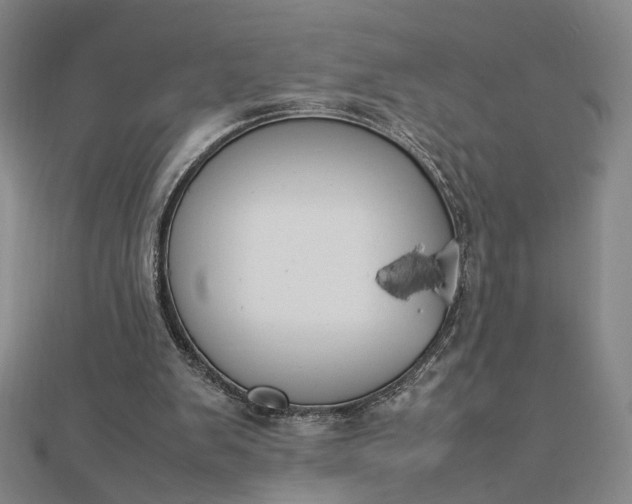 X0000112750103200909031535