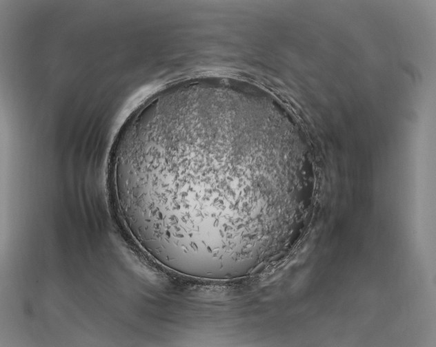 X0000112750104200909031535