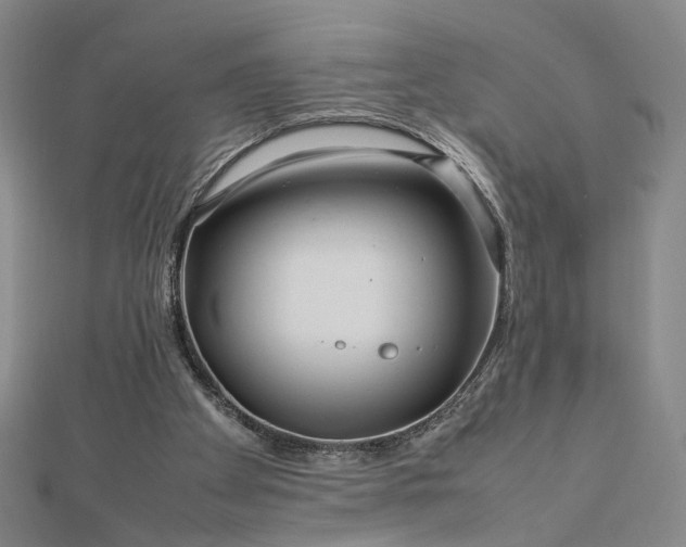 X0000112750105200909031535