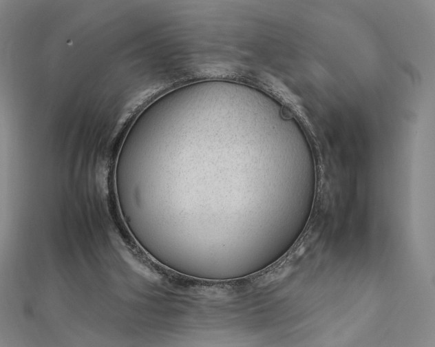 X0000112750106200909031535