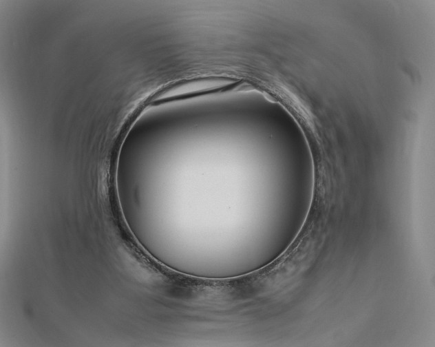 X0000112750107200909031535