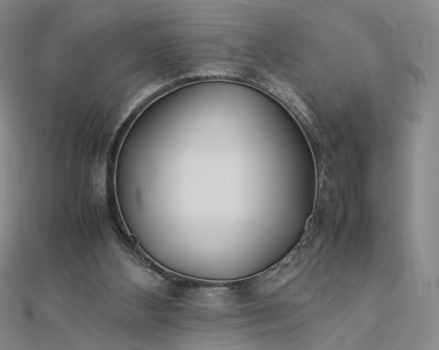 X0000112750108200909031535