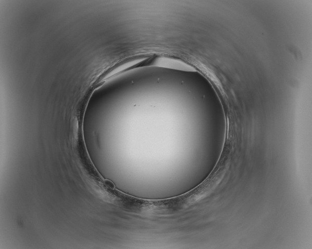 X0000112750109200909031535