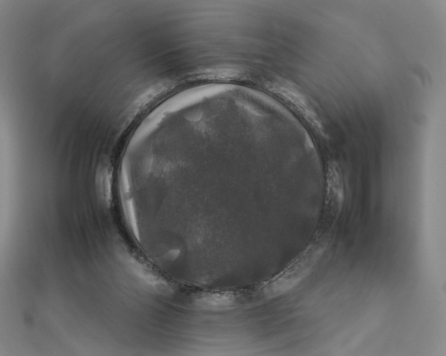 X0000112750110200909031535