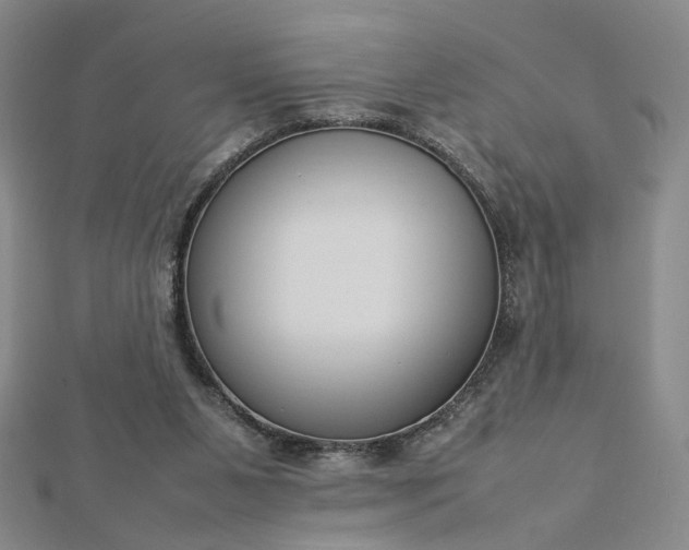 X0000112750111200909031535