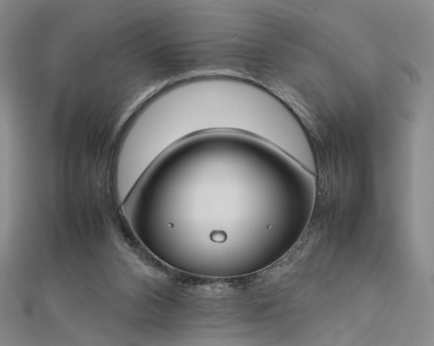 X0000112750112200909031535