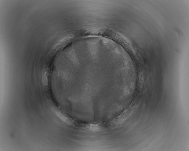 X0000112750114200909031535