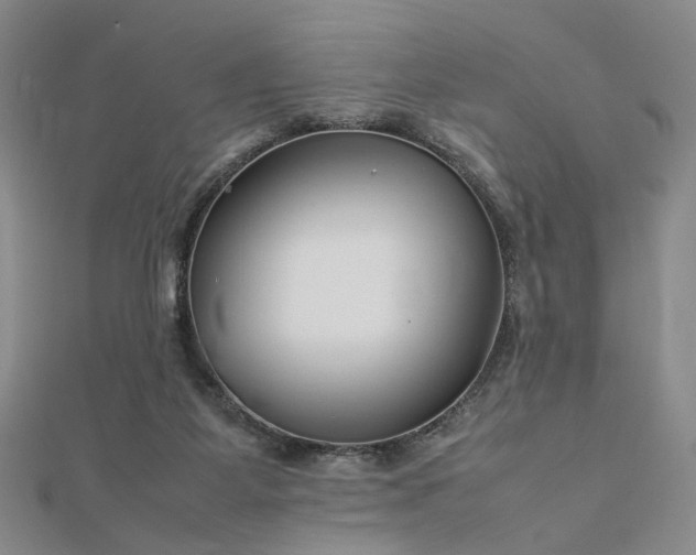 X0000112750115200909031535