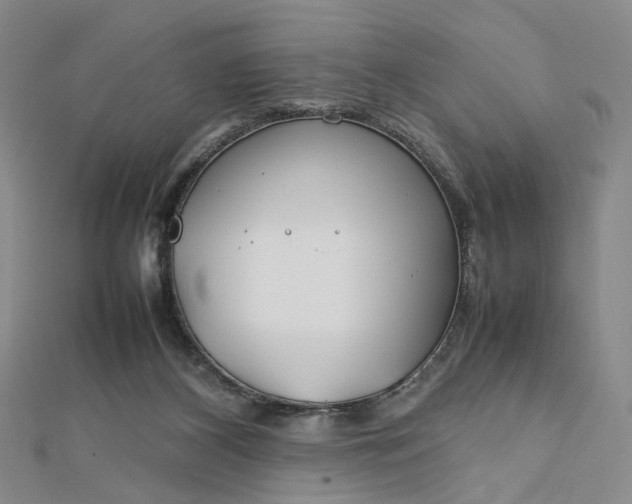 X0000112750116200909031535