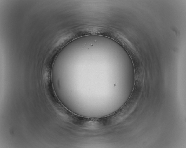 X0000112750119200909031535