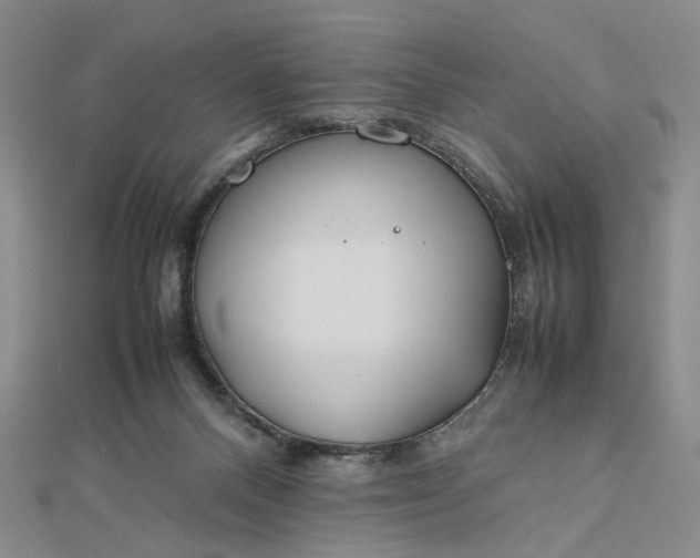 X0000112750120200909031535