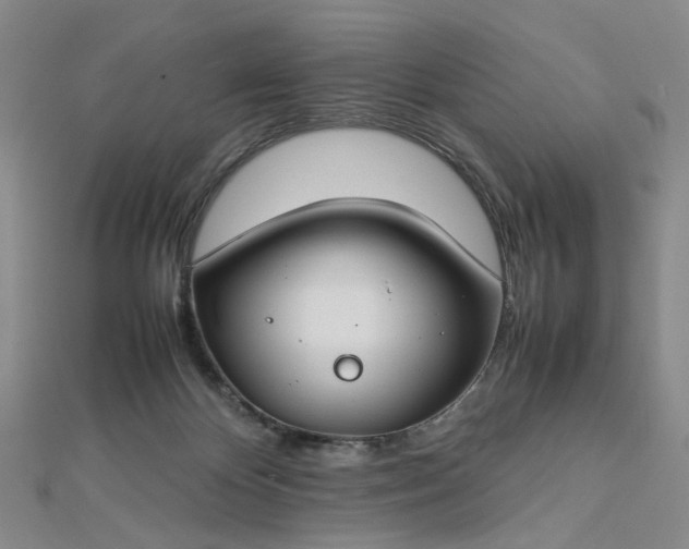 X0000112750124200909031535