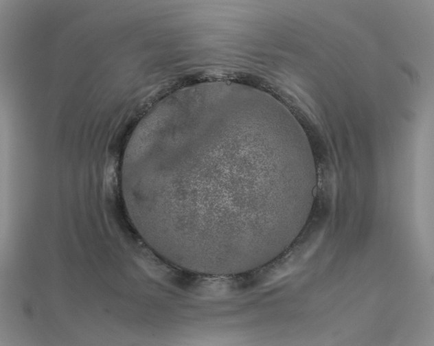 X0000112750127200909031535