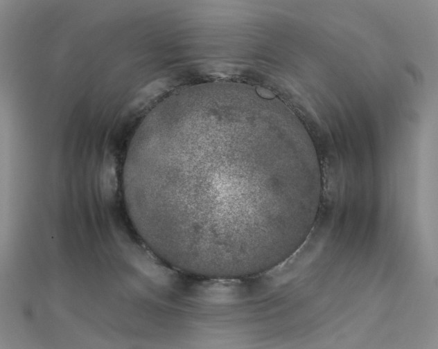 X0000112750128200909031535