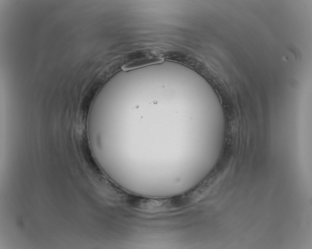 X0000112750129200909031535