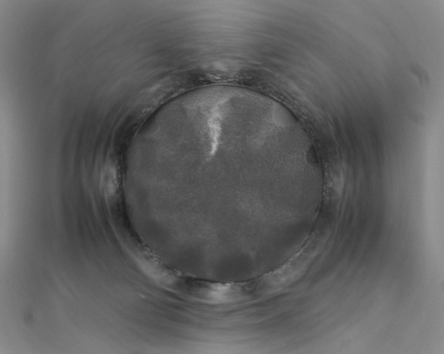 X0000112750130200909031535