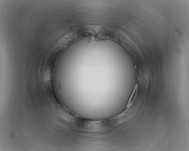 X0000112750132200909031535