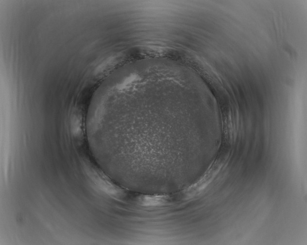 X0000112750134200909031535