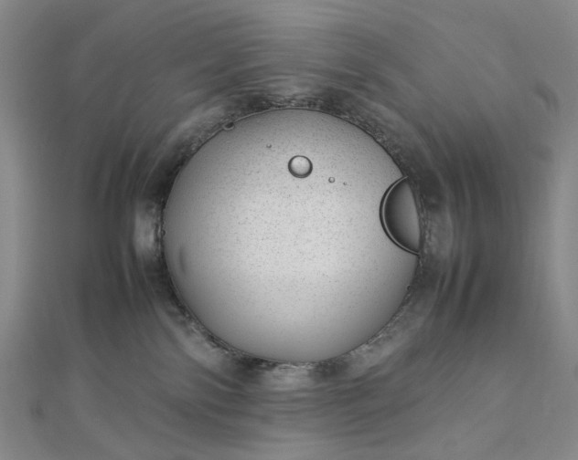 X0000112750138200909031535