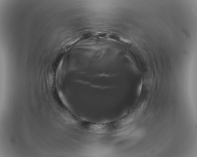 X0000112750139200909031535