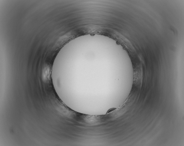 X0000112750142200909031535