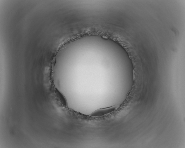 X0000112750144200909031535