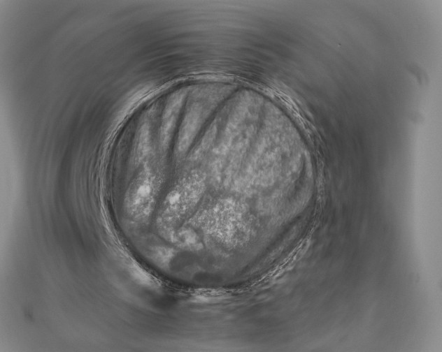 X0000112750145200909031534