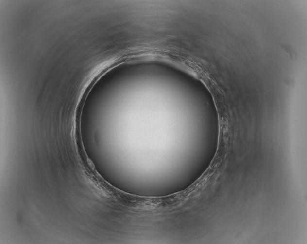 X0000112750148200909031534