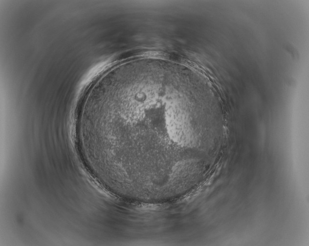 X0000112750149200909031534