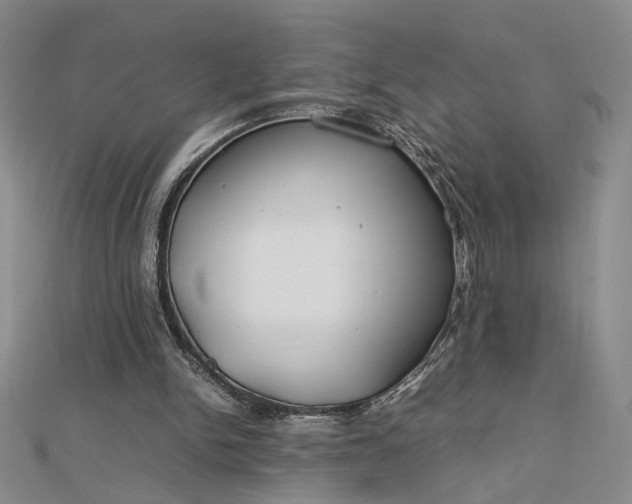 X0000112750150200909031534