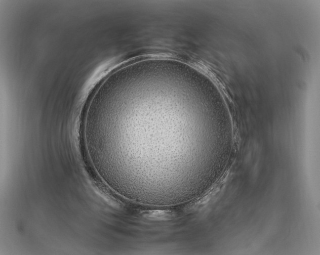 X0000112750151200909031534