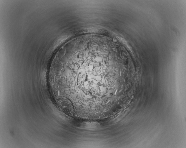 X0000112750154200909031534