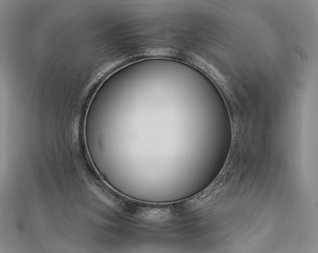 X0000112750155200909031534