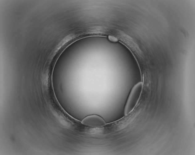 X0000112750156200909031534