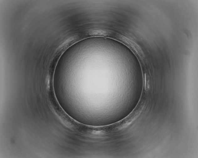 X0000112750157200909031534