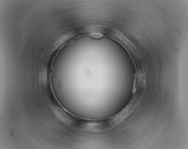 X0000112750158200909031534