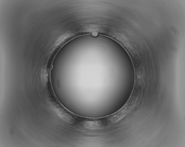 X0000112750160200909031534