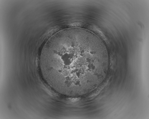 X0000112750161200909031534