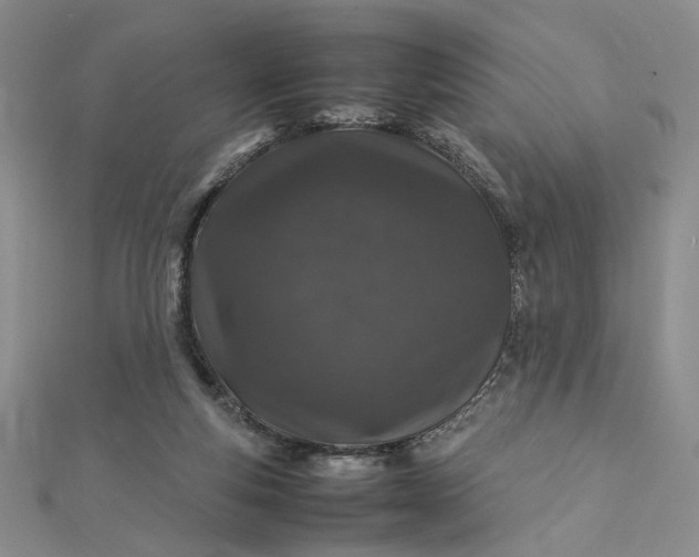 X0000112750163200909031534