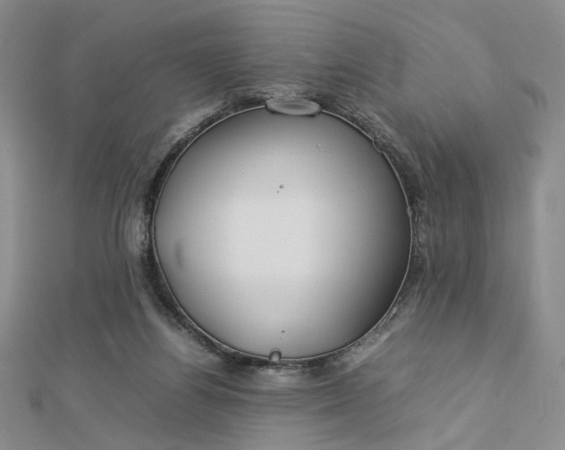 X0000112750164200909031534