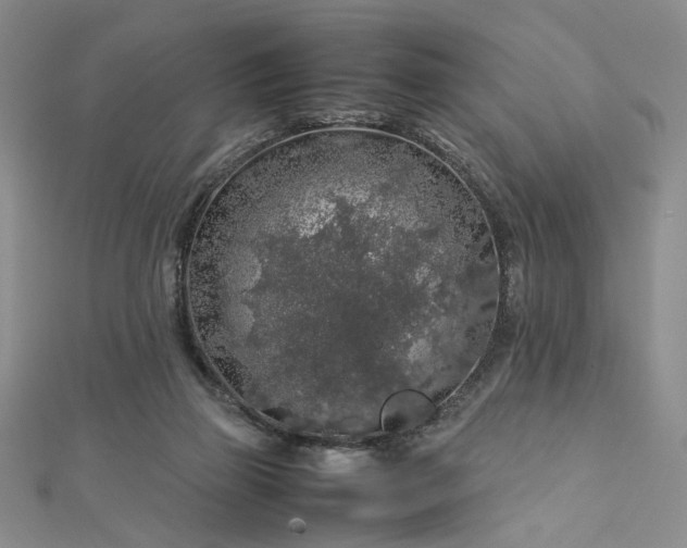 X0000112750165200909031534